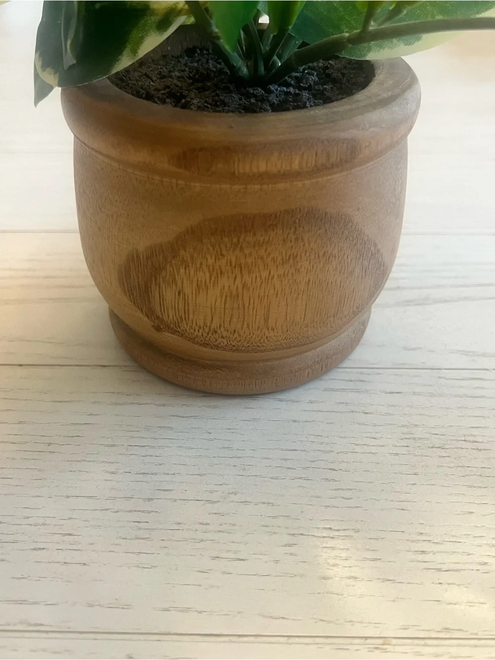 Green Lifelike Variegated Faux Plant in Wooden Pot